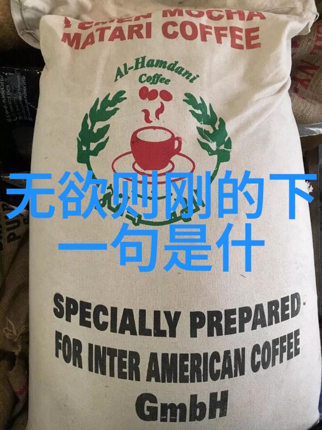 探索道家哲学的智慧之光揭秘中国古代智者的内在修养与宇宙观