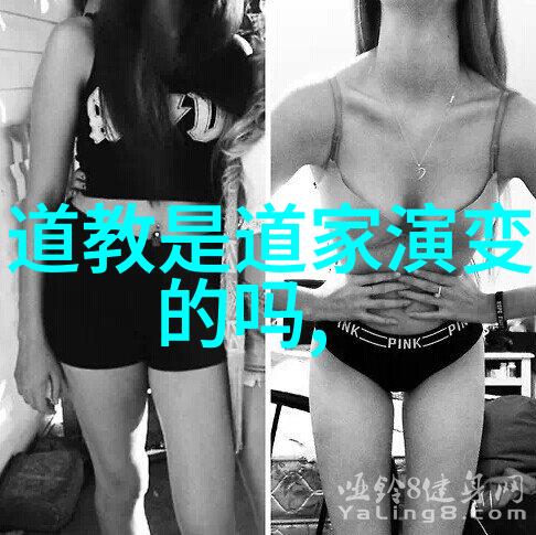 无欲则刚如何以内心的坚定面对生活的挑战