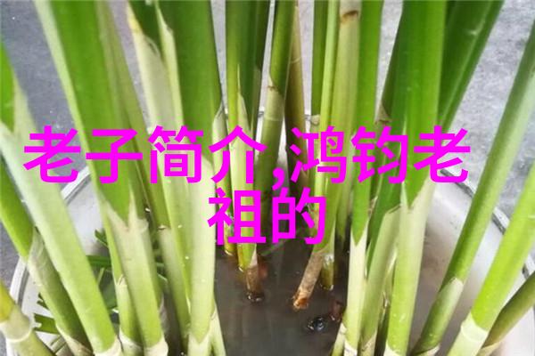 道家基础知识入门玄学书籍我要变身道士从零到英雄的玄学旅程