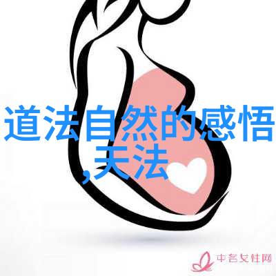 古诗文赏析大全-抒情古诗与哲理深刻探索中华文化宝库