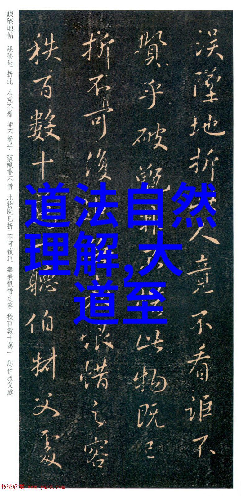 道士的永恒探索传统与现代之间的修行之问