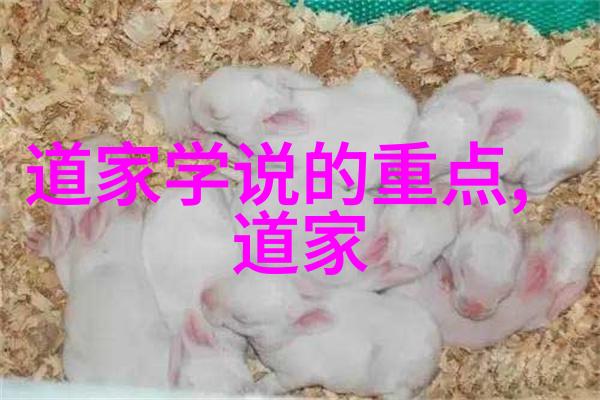 主题-我进去了重返失落的家园