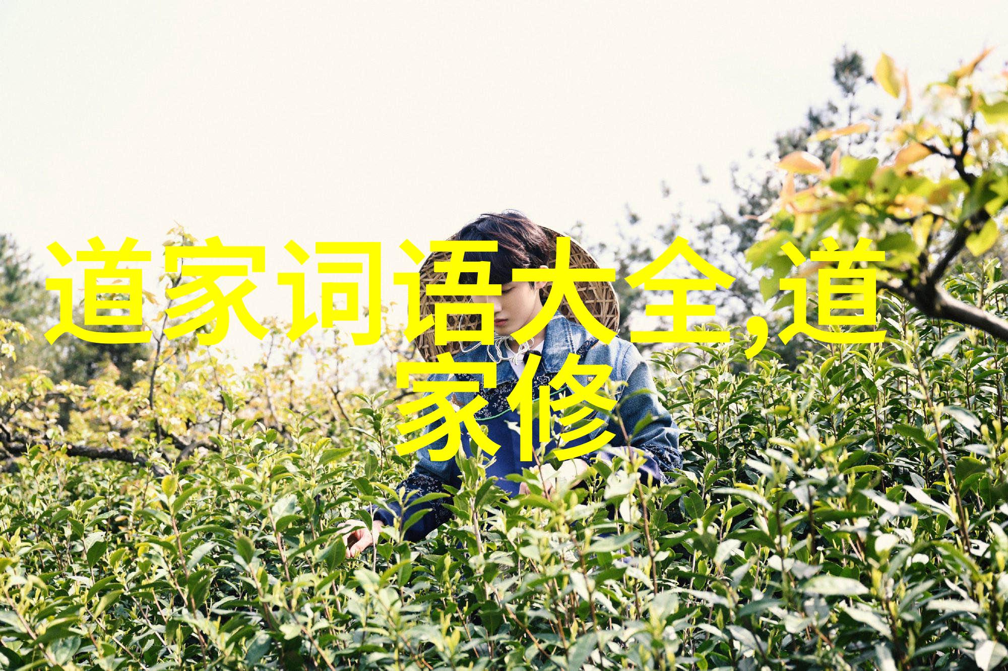 仙界笑话录道教神仙的趣事通讯