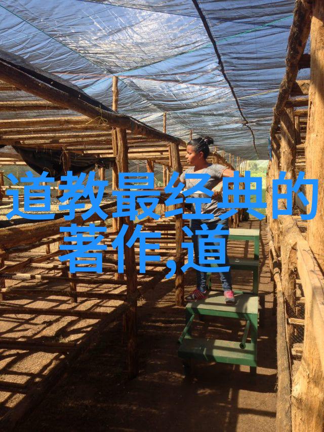 修心诗句 - 静心之境探索古典诗词中的内省智慧