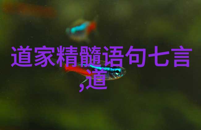 深挖人生之井追寻大道至简的智慧
