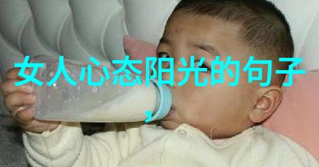 儒法道墨四大家智慧的光芒与文化的丰富