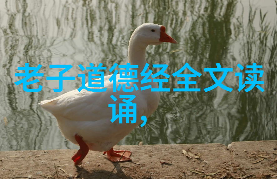 道教创始人是谁隐世启示老子与道教的诞生