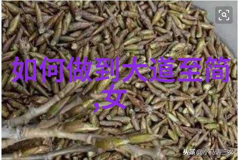 夫唯不争智慧的沉默与心灵的胜利