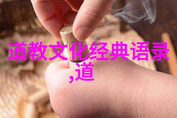 小说家的思想主张探索文学与社会的深层关联是否能引领我们重塑现实