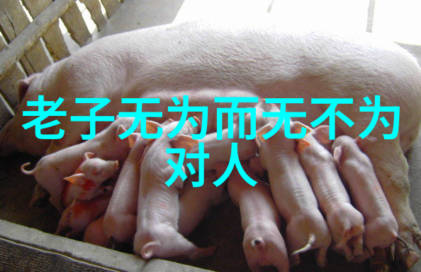 孙悟空真实身份揭秘让你震惊的传说
