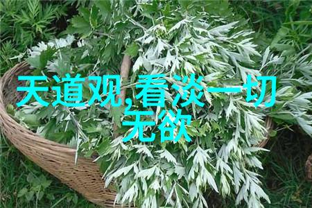 道家学者探索内心的真理与自然的律法