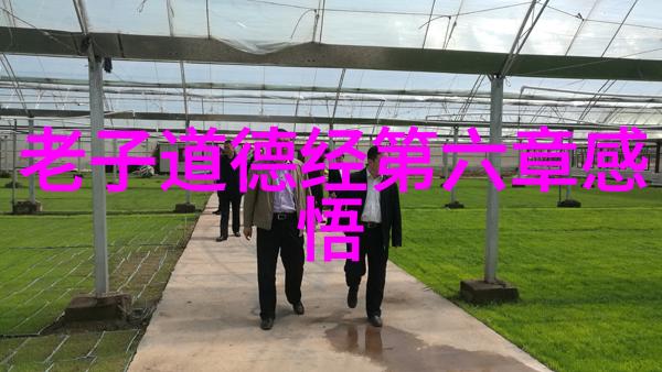 面对无欲则刚之人策略与心法