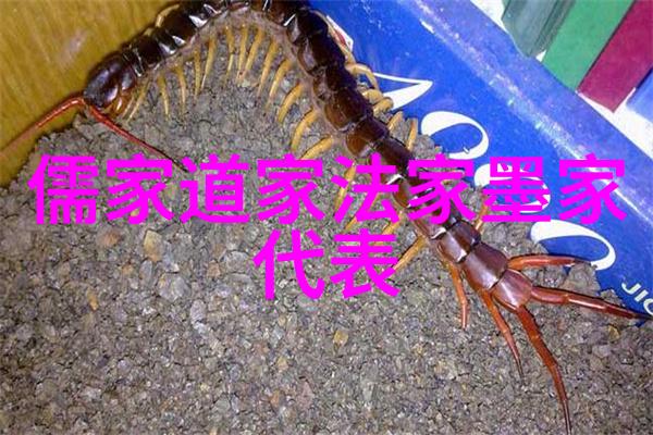 道教三大宗派道教的主要学说