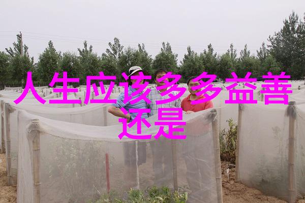 古籍珍本鉴赏探索中国文化的瑰宝