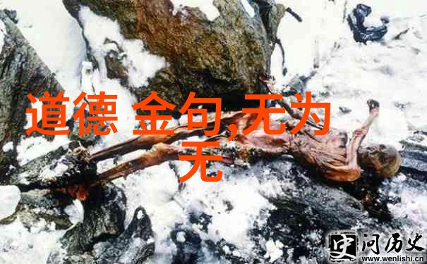 墨子的哲学在哪些方面与其他三家不同