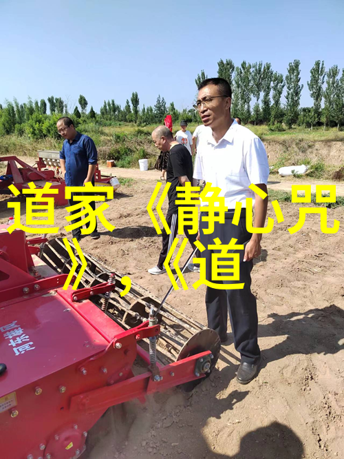 李清照诗词中的情感深度与艺术造诣