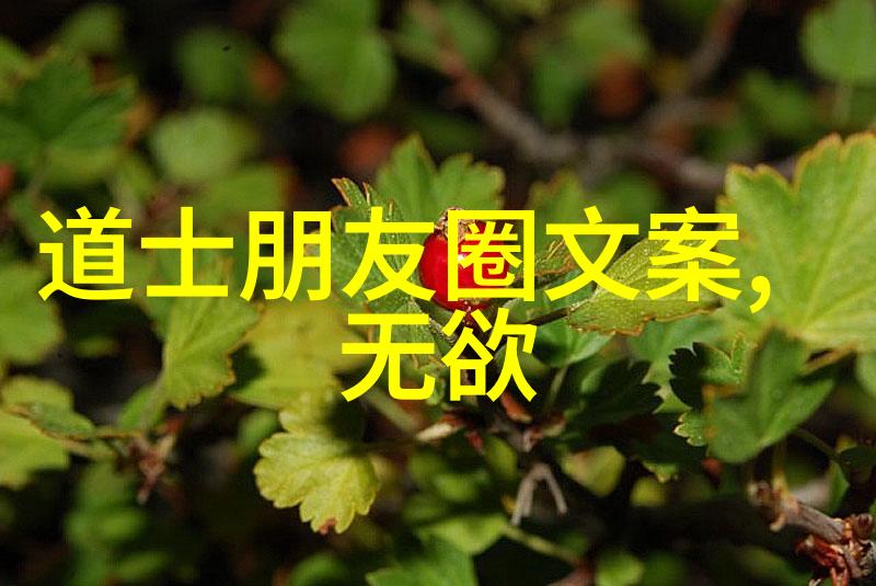 天人合一探索内心与宇宙的和谐