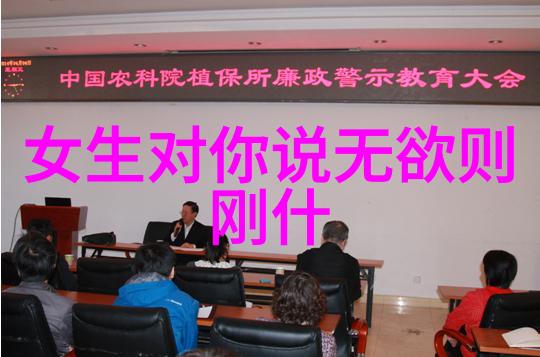 李清照是否实践过道教修炼以及她与道教文化的联系是什么样的
