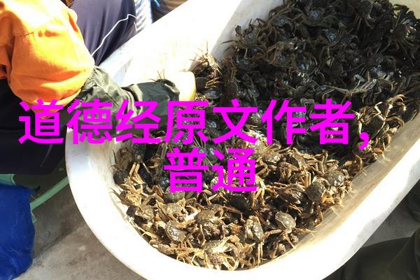道法自然老子的生态哲学探索