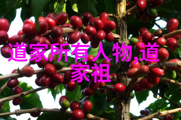 哀家有了老妈又要来我这儿住了