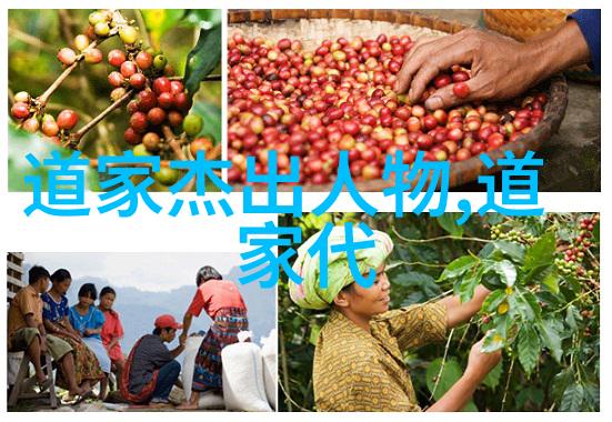 道德经全解析从81章的智慧深度探索到现代生活的应用实例