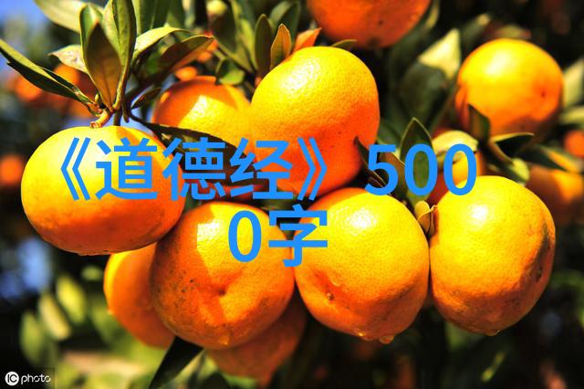 道德经中隐喻的奥秘解读老子的智慧