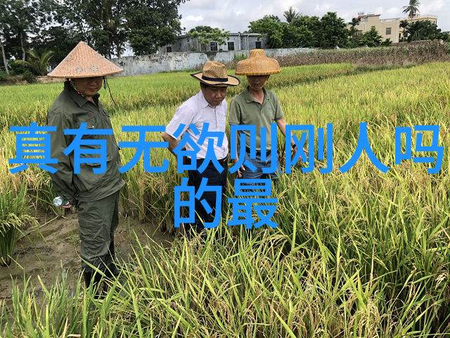 四爷忙碌的一天