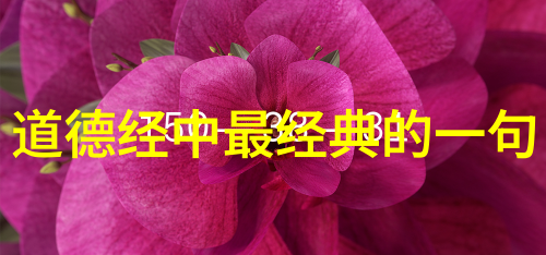 以无为之法而达无不为之境 - 从无为到全能探索自然界中的平衡与效率