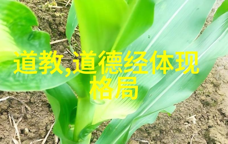 道家小说口碑榜哪10部作品最能让人沉醉