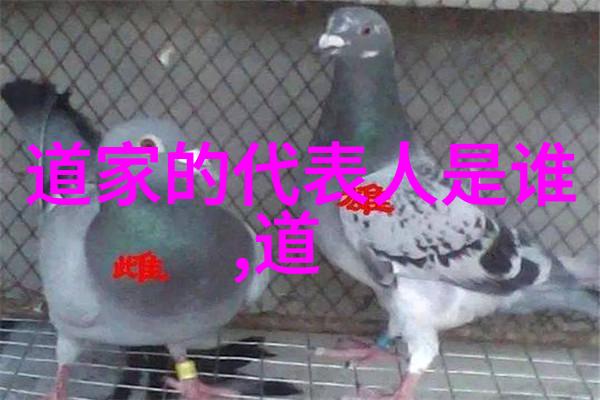 解读西方艺术宝库精美美国画作的审美与深度