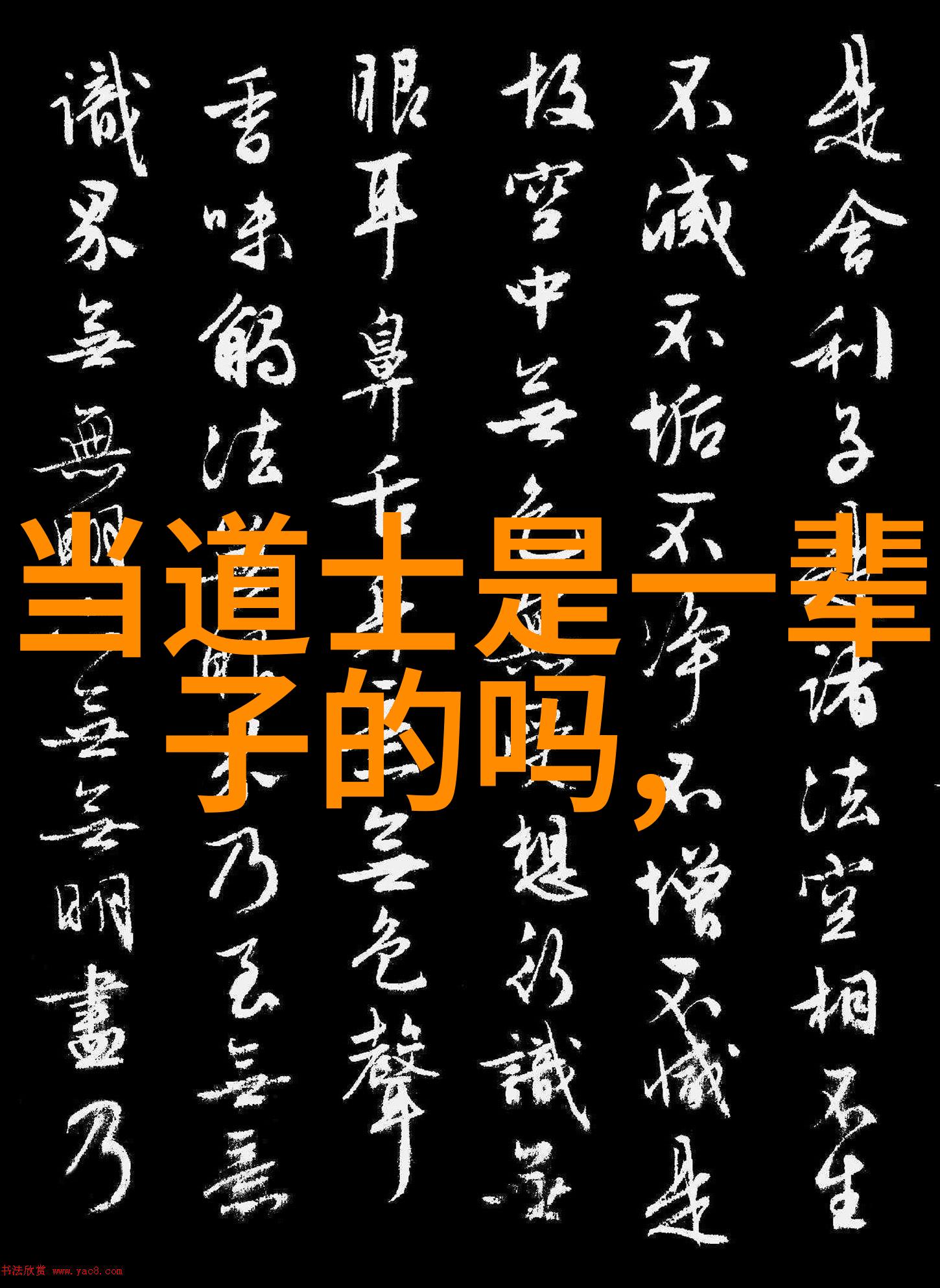 女性坚韧之谜如何实现无欲则刚的自我修炼