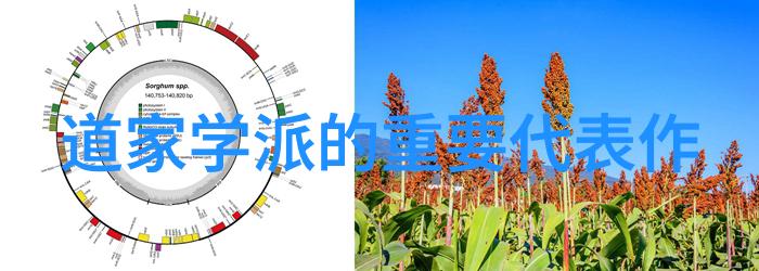不争的智慧静观世界之轮转