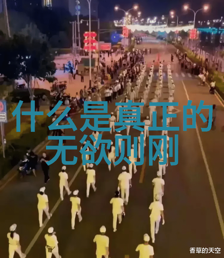以简驭繁的艺术精致设计与复杂情感的和谐统一