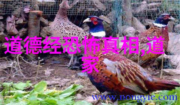 人生座右铭大道至简无欲则刚道教三灾八难探秘_天然道观