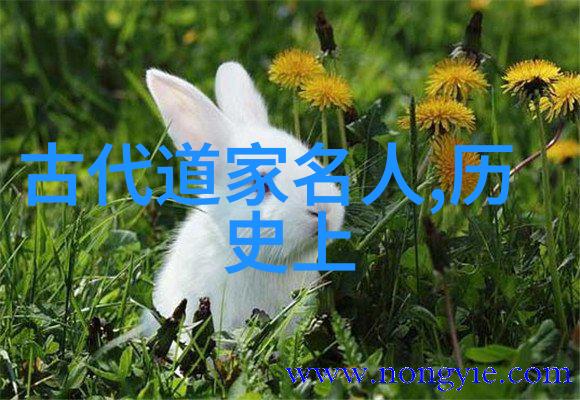 古风奇谭绘影绵华的梦回古今