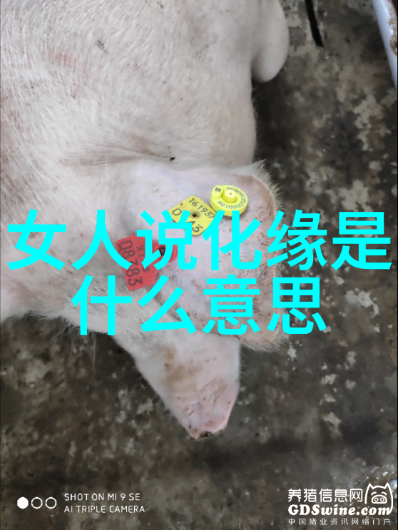 情感文学-触动心弦最打动女人十首诗的故事与魅力