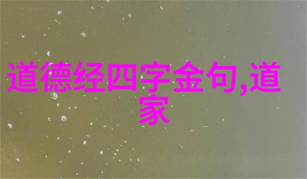 无为而无不为的理解-静观自然探索无为哲学在现代生活中的应用