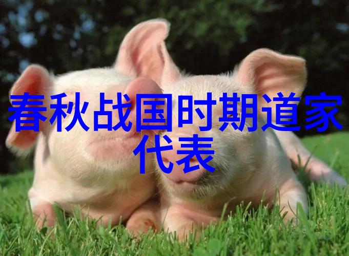 道教英杰录历代名人探索天人合一