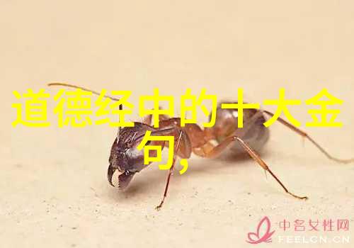 老子10句经典听我慢慢道来回忆中的道德经
