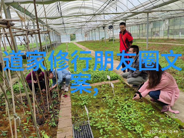 道德经全文及译文免费-探索道德经深层智慧的免费宝库