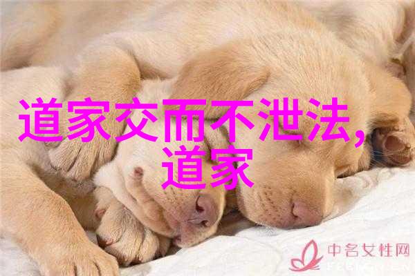 天人合一如何将哲学原则转化为日常行为