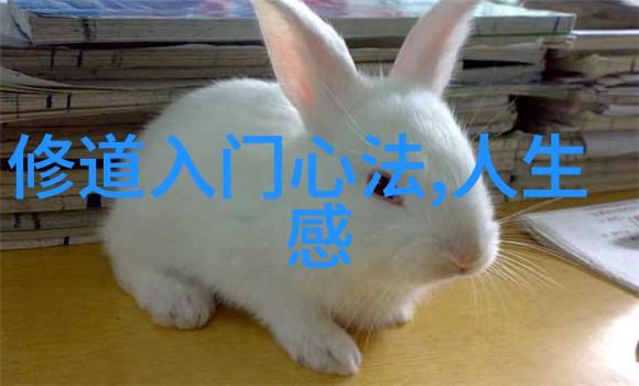 诗意盎然经典诗词每日赏析