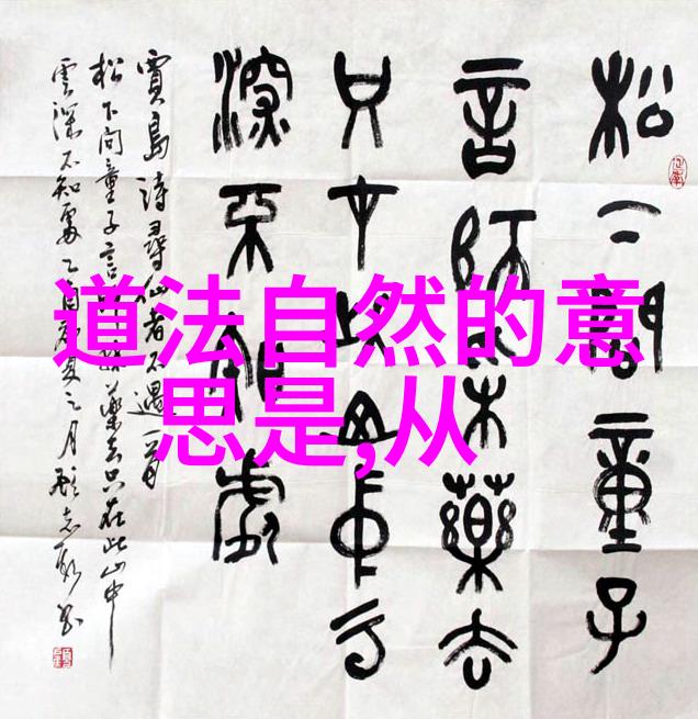道家经典成语大全-探秘道德经中的智慧语言涵盖了孔子的知行合一与老子的无为而治本文将深入剖析道家文化中
