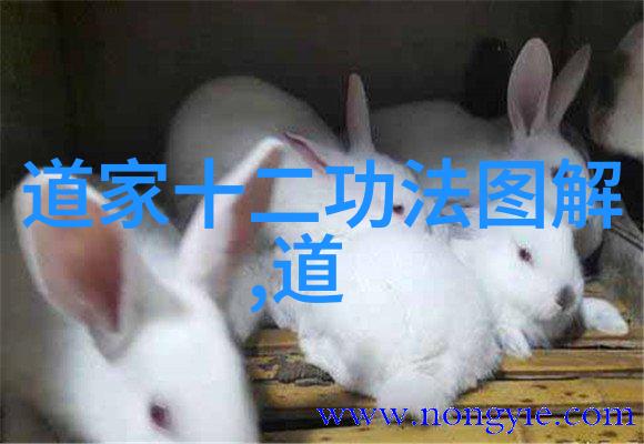 探寻心灵深处的神秘一篇揭示自我仙缘之旅