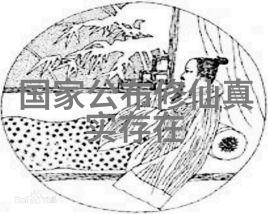 深度开发梁医生的无限可能