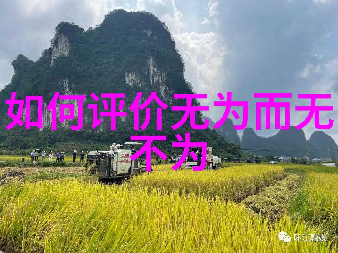探索慈悲之巅情感的无限承载与心灵的深邃慈悯