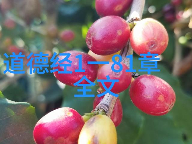 她不求回报却总有人愿意帮助无欲之美有何秘密