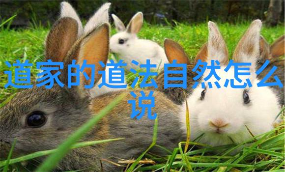 道教神秘势力排行榜古今圣贤地位大揭秘