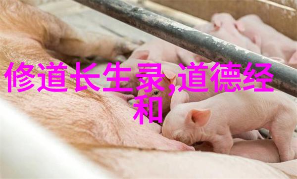 探索道教音乐的深邃之韵百首经典歌曲的魅力