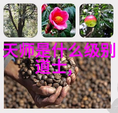人物塑造-隐逸士人道家思想的生活哲学